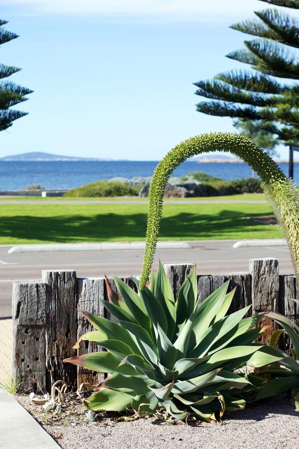 Esperance Island View Apartments Exteriör bild